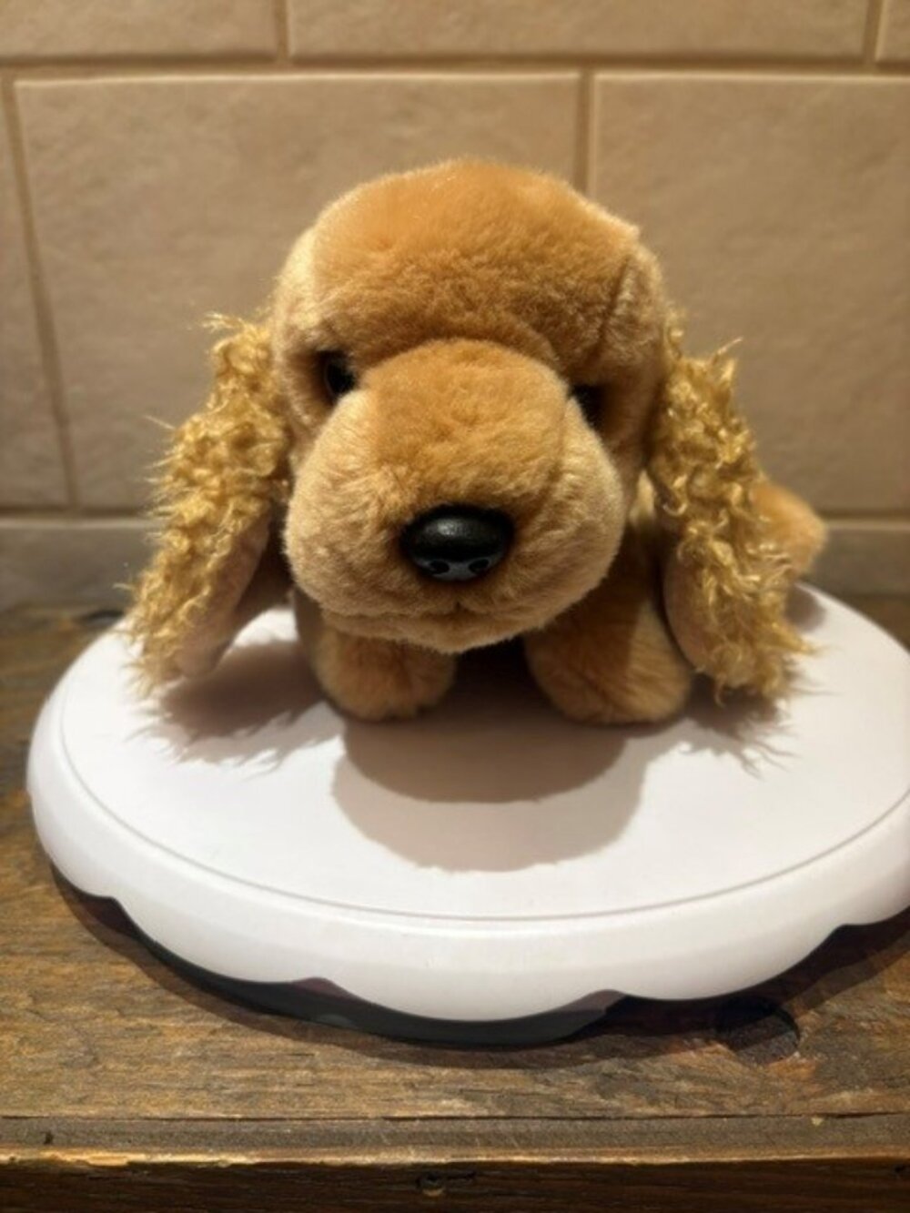 Vintage Ty Beanie Buddies Spunky the Cocker Spaniel Plush 2001 No TY Tag